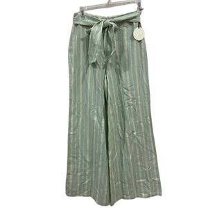 NWT Tularosa Sydney Striped Pants In Mint
